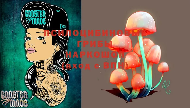 blacksprut как войти  Верхняя Пышма  Псилоцибиновые грибы Magic Shrooms 